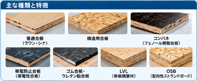 Main Types and Characteristics of Wood and Plywood